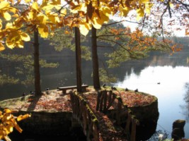 L'étang de Hasselfurth en automne.