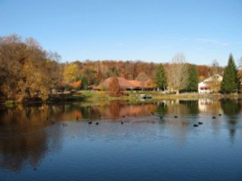 L'étang de Hasselfurth et le village de vacances, aménagé à proximité immédiate.