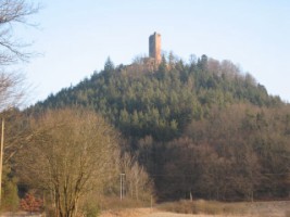 La tour du château de Waldeck, dominant la paisible forêt de Hanau.