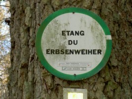 Un panneau du Club vosgien indique l'étang de l'Erbsenweiher. Le domaine est en effet situé au cœur de plusieurs sentiers sylvestres conduisant vers Eguelshardt, Surzelbronn ou encore Neunhoffen.