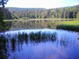 L'&eacute;tang de Waldeck, &agrave; Eguelshardt, fait partie de cet immense r&eacute;seau de pi&egrave;ces d'eau couvrant l'ensemble de la surface du pays couvert.