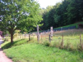 Le cimetière du village se situe en bordure du village, le  long du chemin qui mène au moulin de la Schwingmühle par la vallée de la Horn.