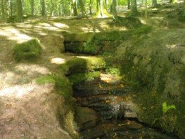 Un ancien lavoir se situe à proximité de la source Saint-Hubert, tout près de la croix.