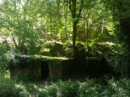 Les ruines du moulin de la Bildmühle et des quelques maisons qui l'entouraient, détruites lors de la dernière guerre mondiale, se situent à proximité du rocher sculpté du Bilderfels.