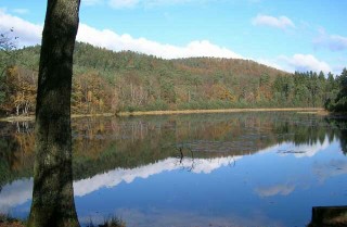 L'étang de Lieschbach.