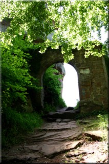 L'entrée du château du Falkenstein.