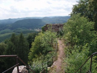 Les ruines du Falkenstein veillent sur l'épais manteau forestier des Vosges du nord (photographie de Clément Mischler).