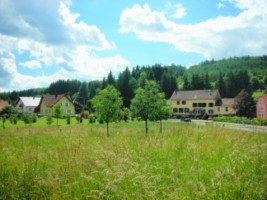 Le hameau de la Schwangerbach et le restaurant " Au relais ".