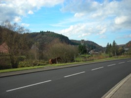 Le village de Reyersviller et l'église Saint-Bernard.