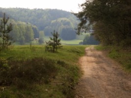 Le chemin de terre qui poursuit la rue principale du village mène vers Eppenbrunn, après avoir découvert la triade gallo-romaine sculptée dans la roche, ainsi que les impressionnants pointements gréseux de l'Altschlossfelsen.