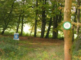 La tombe bavaroise ou Bayerngrab se situe un peu en contrebas de la route descendant vers le village de Schorbach, depuis les hauteurs du Freudenberg.