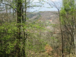 Le village et l'église Saint-Rémi vus depuis les hauteurs au Sud, près de la croix Kruijen.