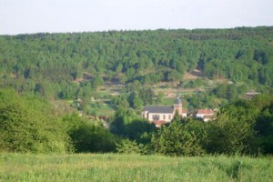 Le défrichement raisonné des coteaux du Garsten est entrepris depuis plusieurs années.