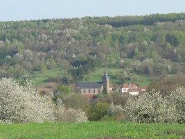 Depuis quelques années, l'AFP (association foncière pastorale) se mobilise efficacement, afin de rendre leur aspect original aux pentes du Garsten, et ceci grâce à un travail raisonné de défrichage des coteaux, qui ont été envahis par la végétation depuis l'abandon des pratiques agricoles suivant la dernière guerre mondiale.