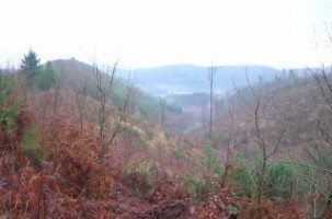 Le col de la Rondelle.