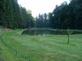 Un étang se situe en bordure de forêt, à proximité du hameau de Guisberg et du moulin de la Felsenmühle.