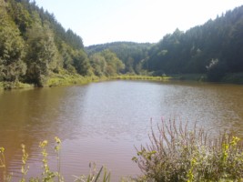 L'tang du Hoernerhof  Montbronn constitue une belle pice d'eau entoure de forts (photographie de la com. de com. du pays du verre et du cristal).