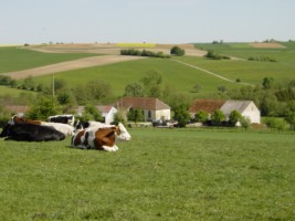 La valle d'Altkirche se situe au Nord du ban communal de Rahling.