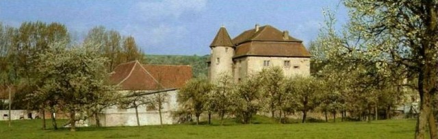 Les bâtiments du château (photographie issue de M.-F. Jacops, J. Guillaume, D. Hemmert, Le Pays de Bitche (Moselle), Metz, Éditions Serpenoise, 1990, 135 p.).