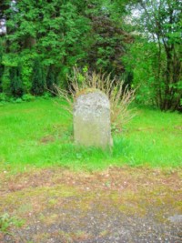 Une ancienne borne est encore visible en haut du Wasenberg, à l'orée de la forêt.