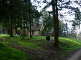 La Pauluskapelle se situe dans un magnifique écrin forestier.