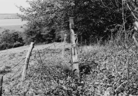 La croix se situe en bordure du chemin Am Kerrenberg (photographie du service régional de l'inventaire de Lorraine).