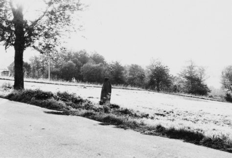 La croix se situe en bordure de la route, tout près du hameau d'Olsberg (photographie du service régional de l'inventaire de Lorraine).