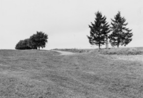 La Schwalbachkreutz : au milieu des champs et dressée entre deux sapins (photographie du service régional de l'inventaire de Lorraine).