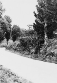 La croix est située presque en face de l'ancien moulin d'Urbach, entre deux sapins (photographie du service régional de l'inventaire de Lorraine).