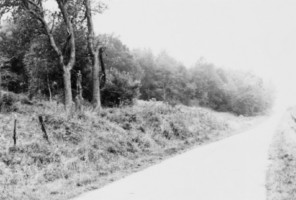 La croix surplombe la route de Bettviller (photographie du service régional de l'inventaire de Lorraine).