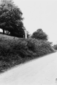 La croix se situe sur le même chemin que la précédente (photographie du service régional de l'inventaire de Lorraine).