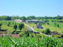 Panorama des dernières maisons du hameau, au sud-est, vers Hottviller.