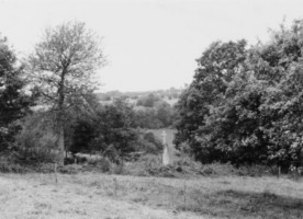 La croix surplombe le chemin (photographie du service régional de l'inventaire de Lorraine).