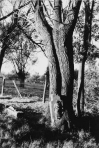 La croix se situe au bout de la rue de la fontaine, dans un parc en face des dernières maisons (photographie du service régional de l'inventaire de Lorraine).