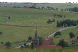 Le plateau lorrain, aux alentours du village de Rolbing et &agrave; la fronti&egrave;re allemande, est ici profond&eacute;ment entaill&eacute; et se termine en franges de dentelli&egrave;re (photographie de " P2911 ").