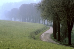 La petite route bucolique menant de Dorst et Rolbing.