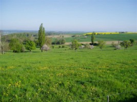 Les champs à proximité du village d'Eschviller.