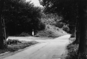 La croix est située en bordure de la route de Breidenbach.