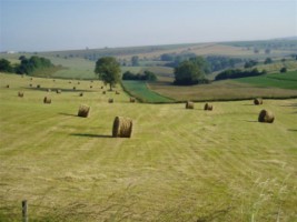 Les immenses &eacute;tendues cultiv&eacute;es du canton de Volmunster, dans le pays d&eacute;couvert.
