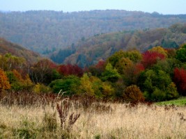 Les vall&eacute;es du pays couvert en automne.