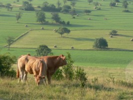 Paysage du pays d&eacute;couvert.