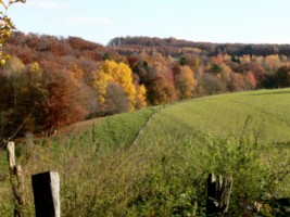 La transition entre les pays d&eacute;couvert et couvert, des vertes prairies aux profondes for&ecirc;ts.